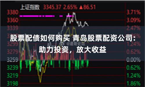 股票配债如何购买 青岛股票配资公司：助力投资，放大收益