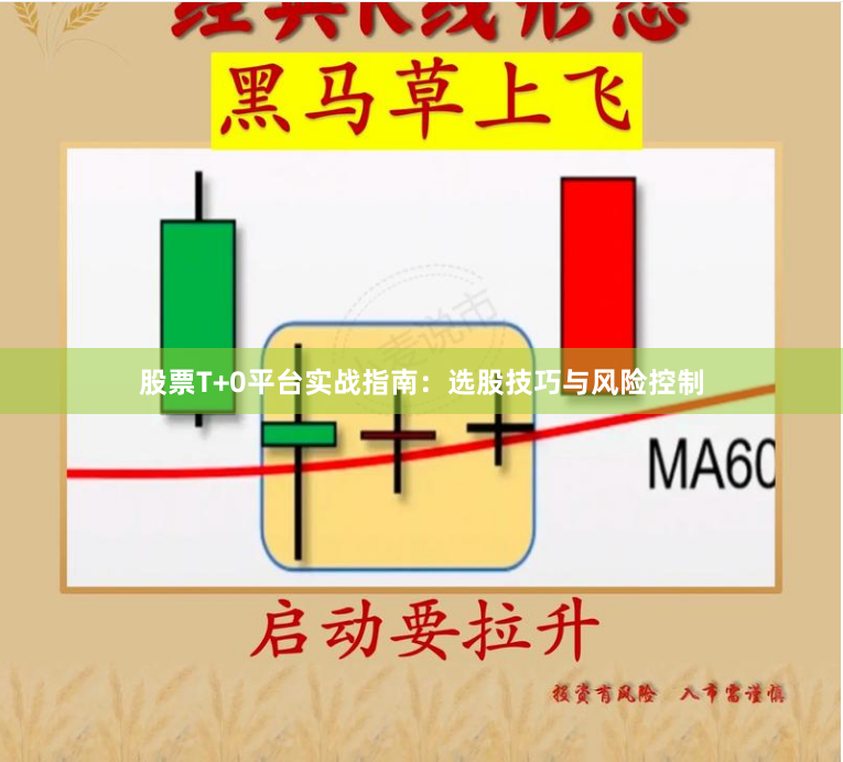 股票T+0平台实战指南：选股技巧与风险控制
