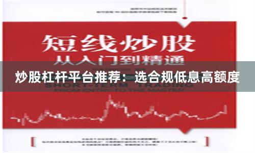 炒股杠杆平台推荐：选合规低息高额度
