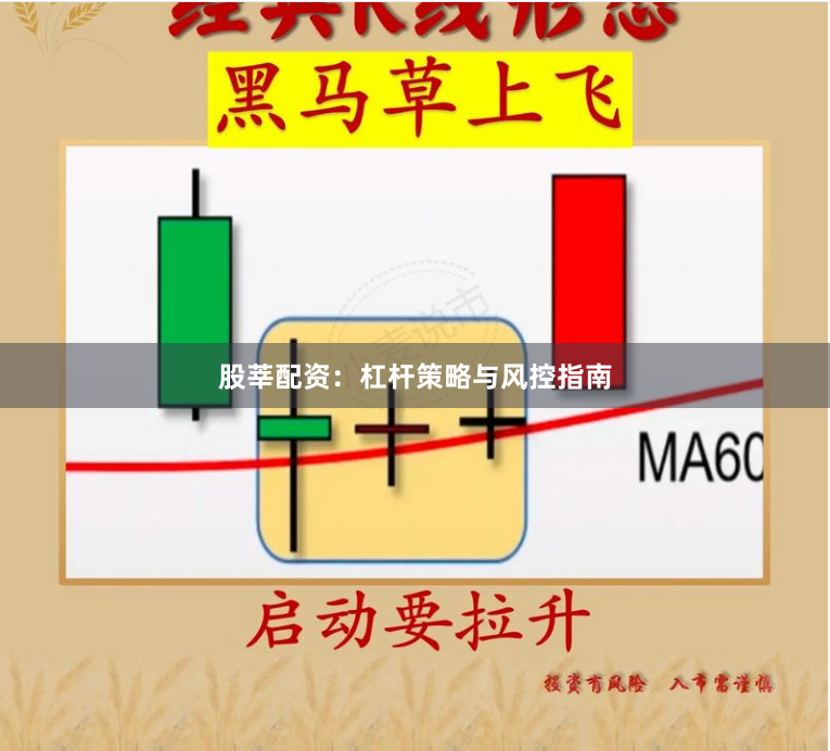 股莘配资：杠杆策略与风控指南